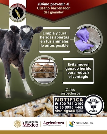 Ante sospecha de presencia del