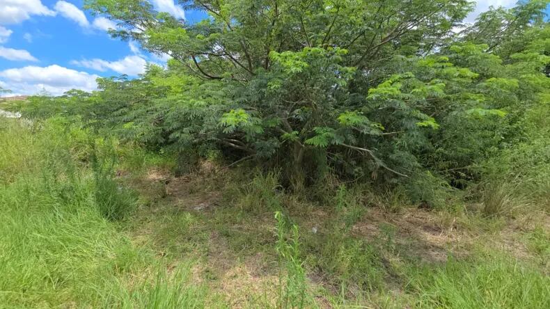 La zona en donde fue encontrado su cuerpo sin vida (Gentileza: Reconquista HOY)