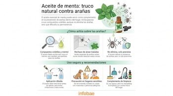 Ilustración de frasco de aceite de menta, hojas, arañas, atomizador, lupa con mentol, perro, gato, persona estornudando, escoba y aspiradora.