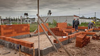 Tras la caída en 2023