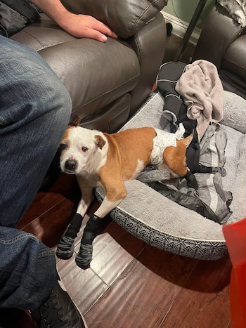 El apoyo inquebrantable de su