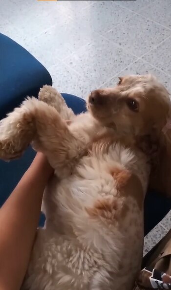 Vive felizmente en la estación.