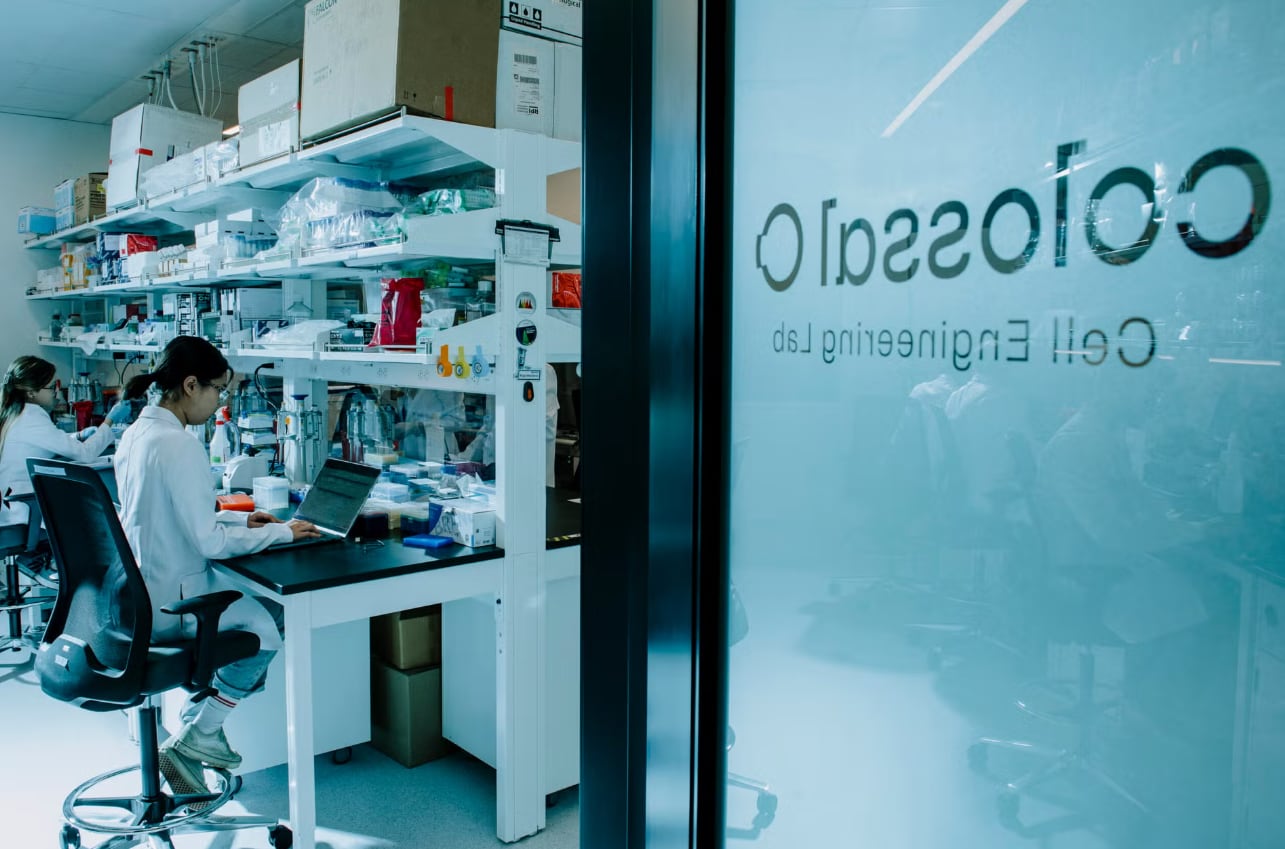 La compañía apuesta a combinar ingeniería genética y tecnologías de incubación para acercarse al sueño de recrear especies ya desaparecidas (Colossal Biosciences)