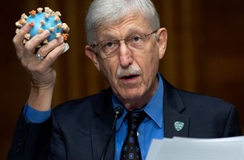 Francis Collins, director de los