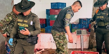 El operativo, realizado en el marco de la Megatoma de seguridad, permitió desmantelar un matadero clandestino que, según la investigación, era responsable de la contaminación del río Subía por la descarga de residuos sin tratamiento - crédito Gobernación de Cundinamarca