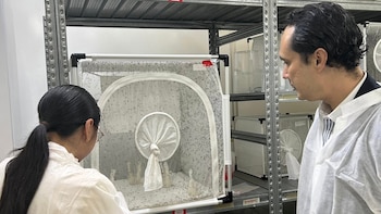 La participación en redes internacionales de innovación facilitará a El Salvador la adopción de políticas públicas basadas en evidencia y la transferencia de tecnología para afrontar retos sanitarios futuros con mayor eficacia (Foto cortesía Jaime José López Badía)