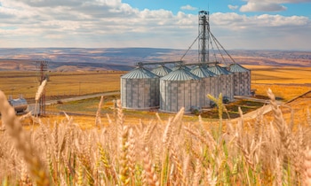 Este fenómeno, conocido como commingling,
