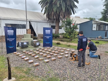 El cargamento incautado