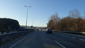 Siete personas murieron en las