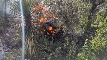 El piloto Carlos Gordoa murió