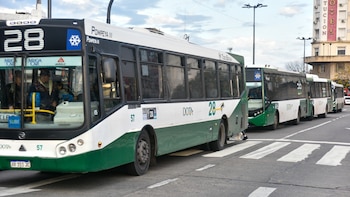 Qué líneas de colectivos funcionan