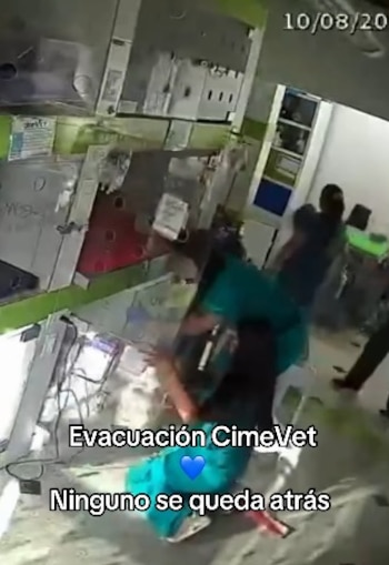 El personal evacuó a los animales que estaban en el consultorio durante la emergencia en Medellín - crédito Captura de video