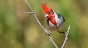 En el espacio creado por