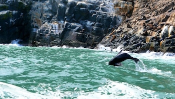 Turistas acceden a uno de