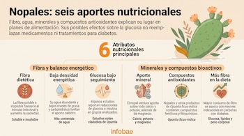 Infografía titulada Nopales: seis aportes nutricionales con una ilustración de la planta, seis íconos informativos y el logotipo de Infobae.