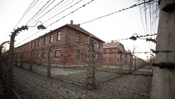 “Dimensión”: la campaña de concientización que grafica la magnitud del Holocausto