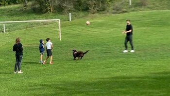 Clara Chía Marti fue vista