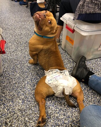 Los colaboradores del albergue le