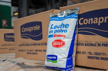 Leche en polvo de Conaprole,