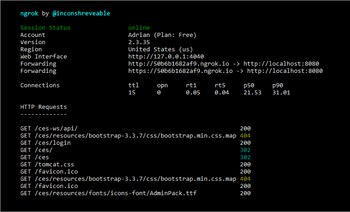 Herramienta de Ngrok. (foto: SDOS)