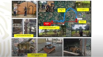 Autoridades federales realizaron cumplimentaron cinco