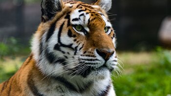 Una serie de muertes de