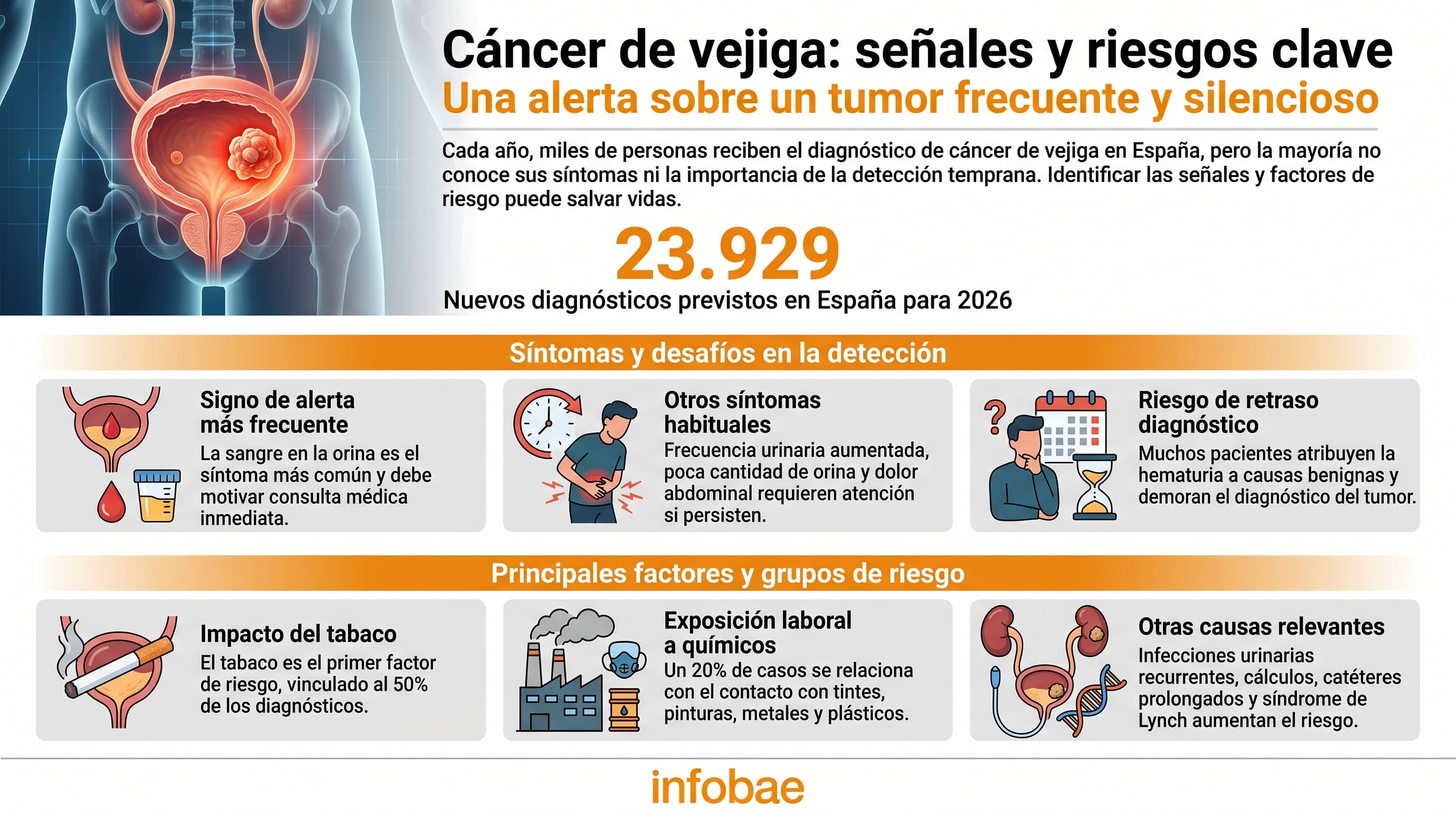 Esta infografía detalla síntomas clave y factores de riesgo del cáncer de vejiga, enfatizando la importancia de la detección temprana ante los 23.929 nuevos casos previstos en España para 2026. (Imagen Ilustrativa Infobae)