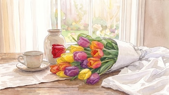Tulipanes en primavera: cómo cuidar el riego, el drenaje y las hojas para favorecer la floración