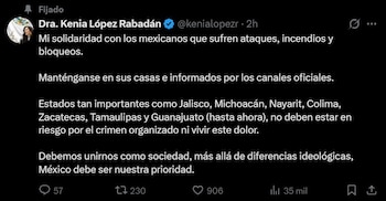 La presidenta de la Cámara