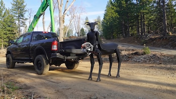 El robot que se viralizó por su apariencia inquietante y busca cambiar la forma de combatir incendios forestales