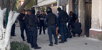 Un perro pitbull fue detenido