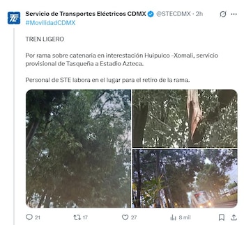 Captura de pantalla de un tuit que muestra un árbol frondoso, una rama caída, postes de catenaria y un Tren Ligero en la distancia