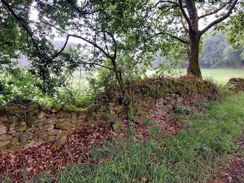 Camino de Santiago
