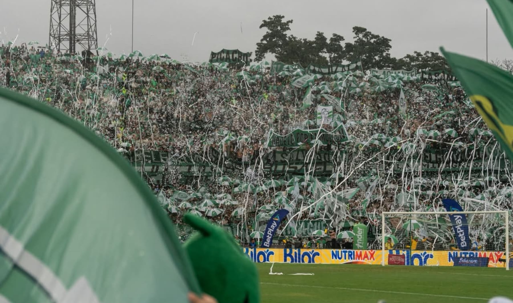 Atlético Nacional tiene alrededor de 12 millones de hinchas, según estimaciones de la Dimayor. A esa cantidad pertenecen Juan y Sebastián Valencia - crédito Colprensa