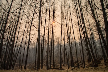 La sequía más severa desde