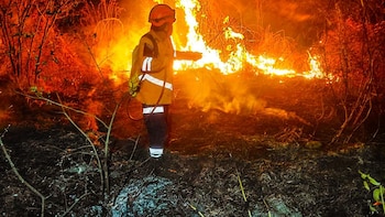 Incendios consumen más de 16,000 hectáreas de bosques en Guatemala en 2026