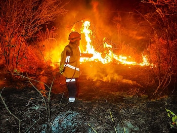 Factores climáticos y la proliferación de vegetación contribuyen al auge de incendios forestales y de maleza en el territorio salvadoreño. (Cortesía: Secretaría de Prensa)
