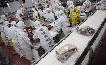 La investigación durará alrededor de