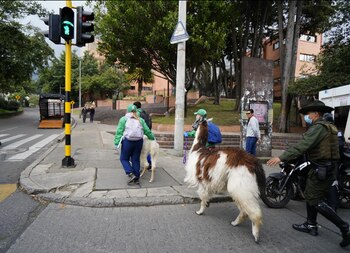 Las autoridades enfatizaron que el