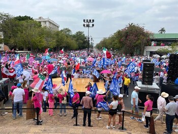 Marea Rosa en Yucatán. Foto:
