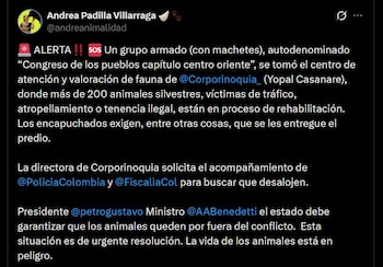 La senadora Andrea Padilla pidió la intervención urgente del Estado para recuperar el predio y garantizar la seguridad de los animales silvestres - crédito @andreanimalidad / X