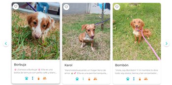 El sistema permite a los