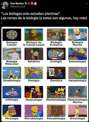 (Foto: Twitter/@MissAtomicF)