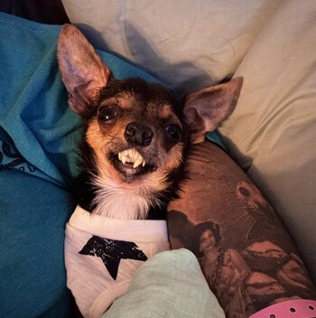 Los dueños de Marv esperan