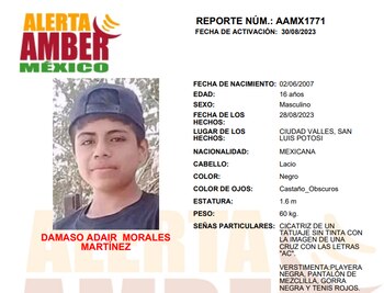 Damaso Adair (Alerta Amber)