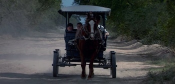 Los menonitas arribaron a la