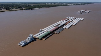 "Hay mucho por hacer, y hay inversores interesados en participar si se abren los caminos para eso", destaca Raquel sobre el potencial que presenta el transporte fluvial en la región (Foto: Shutterstock)