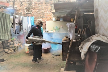 Anuncian jornadas de fumigación en