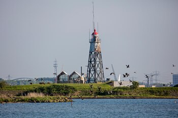 Ámsterdam: Gastronomía y naturaleza en