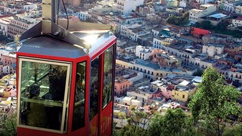 Cuál es la familia más